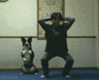 life dogs GIF