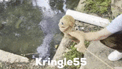 Kringle55 puppet kringle kringle55 puppet videos GIF