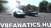 v8fanatics hungary burnout v8fanatics GIF