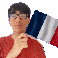 Holding France Sticker