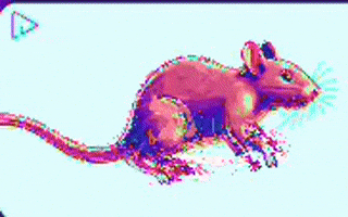 Stevesartandcacti rat ads targeted ads ratads GIF