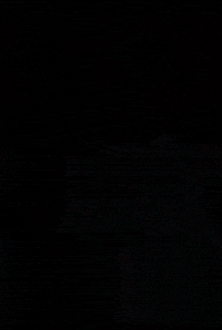 Trap Pick GIF by New 11