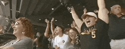 College World Series Baseball GIF by NCAA Championships