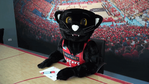 crushing it new zealand GIF by Perth Wildcats