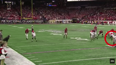 jledge giphyupload GIF