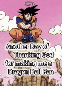 Dragon Ball Z Dbs GIF