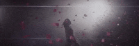 roses GIF by The Chainsmokers