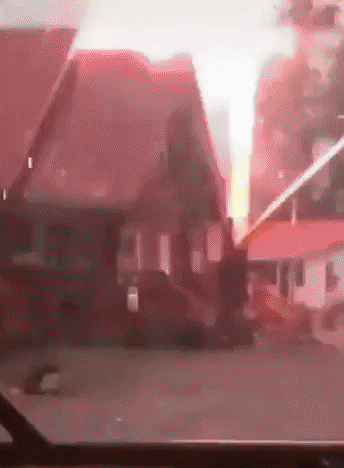 yj_jane giphygifmaker GIF