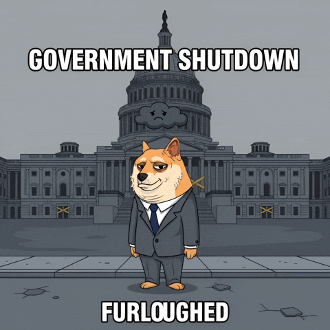 Sad Shiba Inu GIF by Doge Pound