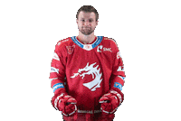 Hockey Trinec Sticker by HC Oceláři Třinec