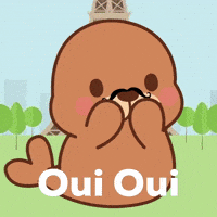 France Paris GIF by FROSTYS