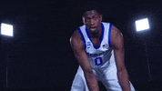 MemphisAthletics memphis tigers memphis basketball GIF