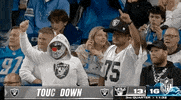 National Football League GIF by NFL
