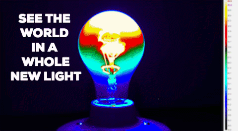 flir GIF