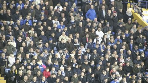 crowd standup GIF by Portsmouth Football Club