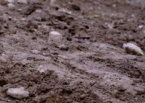 Tired Mood GIF