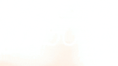 Celebration Goal GIF by FC Red Bull Salzburg