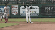tincaps baseball milb fort wayne tincaps GIF