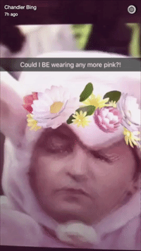 friends chandler GIF by Wetpaint