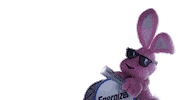 Conejo Sticker by Energizer