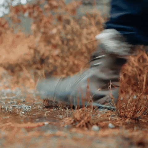 Walking Hiking GIF by THE BEARD STRUGGLE