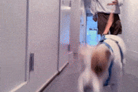 Let's go on a walk