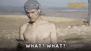 What What Wtf GIF