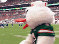 Ncaa Sports Mascot GIF by Miami Hurricanes