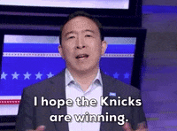 New York Knicks GIF by GIPHY News