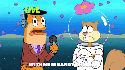 season 9 it came from goo lagoon GIF by SpongeBob SquarePants