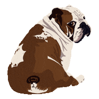 Bulldog Withloveandlaceshop Sticker by With Love & Lace