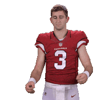 Arizona Cardinals Sticker Sticker by NFL