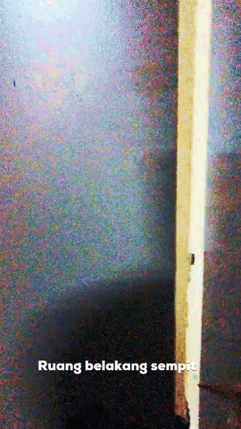 thedonna  GIF