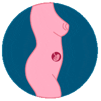 Nacimiento Educacion Sexual Sticker by Hablemos de Sexo y Amor