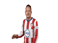 VVALFASPORT goal alfa sport luc janssen Sticker