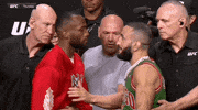 Mixed Martial Arts Sport GIF by UFC