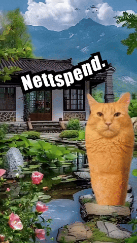 Nettspend GIF by Respective