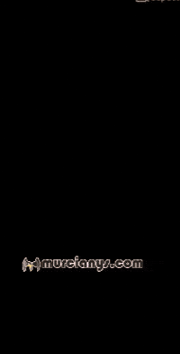 Feliz Amigos GIF by Murcianys LLC