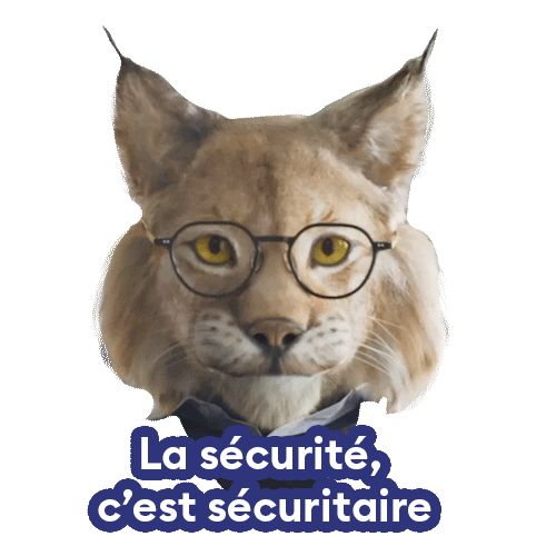 newlook-ca sunglasses glasses eyewear lynx Sticker