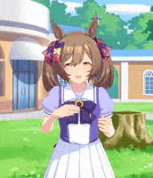 Umamusume Pretty Derby GIF