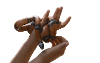 Snake Sticker by Lionsgate