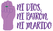 Woman Se Va A Caer Sticker by VDP Noticias