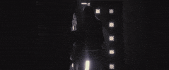 mandy lee reflections GIF by MisterWives