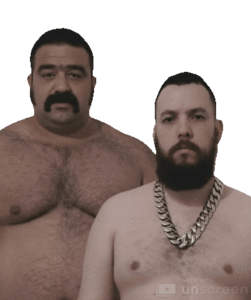 Gay Bear Sticker by Database數據