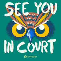 Climate Change Earth GIF by Earthjustice