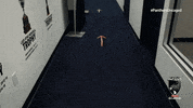 Hockey Nhl GIF by Florida Panthers