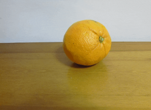 Simongip giphygifmaker GIF