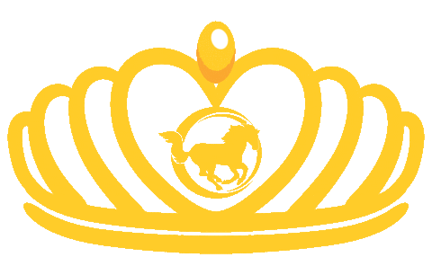 Princess Crown Sticker by Mustang Cheer