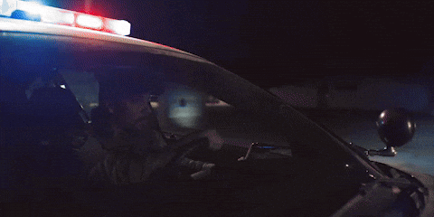 Emma Stone Film GIF by A24