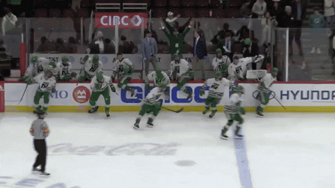State Champs Celebration GIF by NTHS